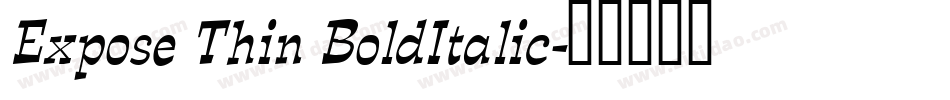 Expose Thin BoldItalic字体转换